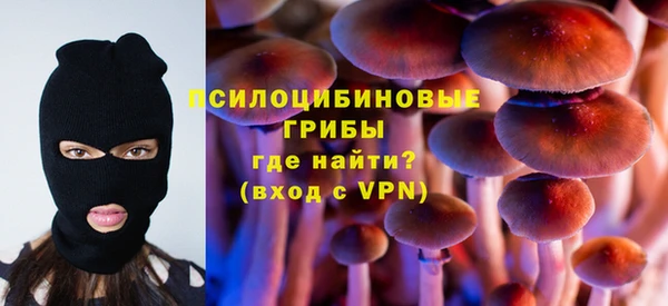 не бодяженный Аркадак