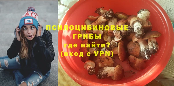 спиды Арсеньев