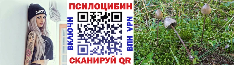купить закладку  Разумное  Галлюциногенные грибы мухоморы 